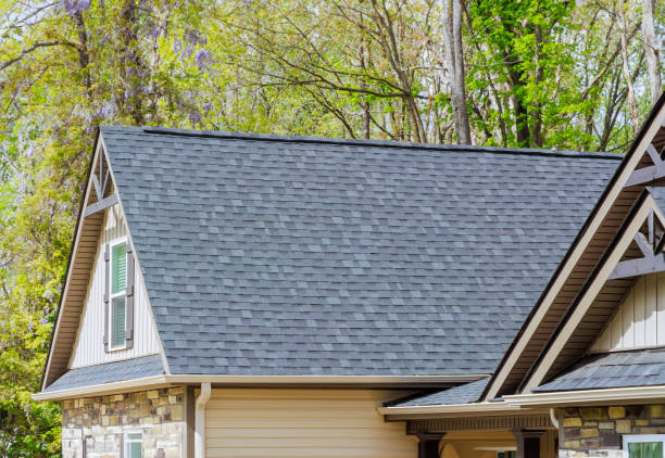 Best Roof Maintenance and Cleaning  in Chicopee, MA